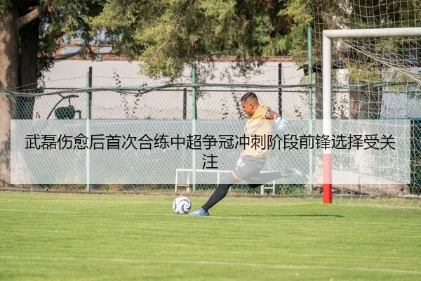 武磊伤愈后首次合练中超争冠冲刺阶段前锋选择受关注